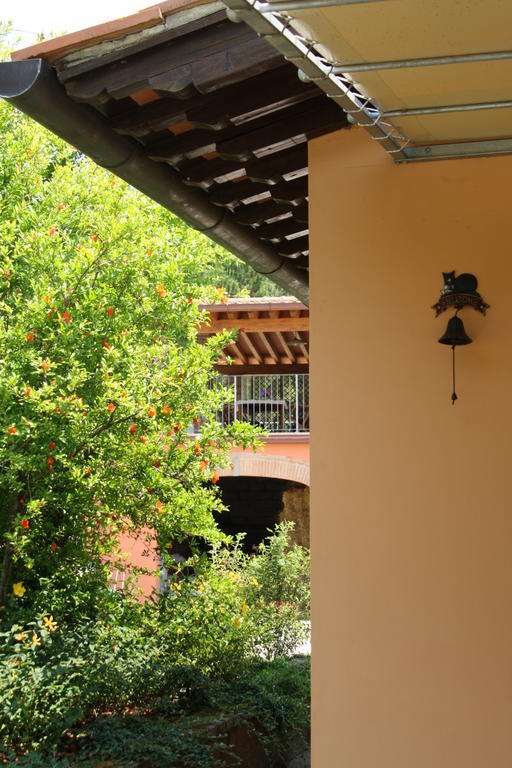 Agriturismo Il Cantastorie 몬테카티니테르메 외부 사진